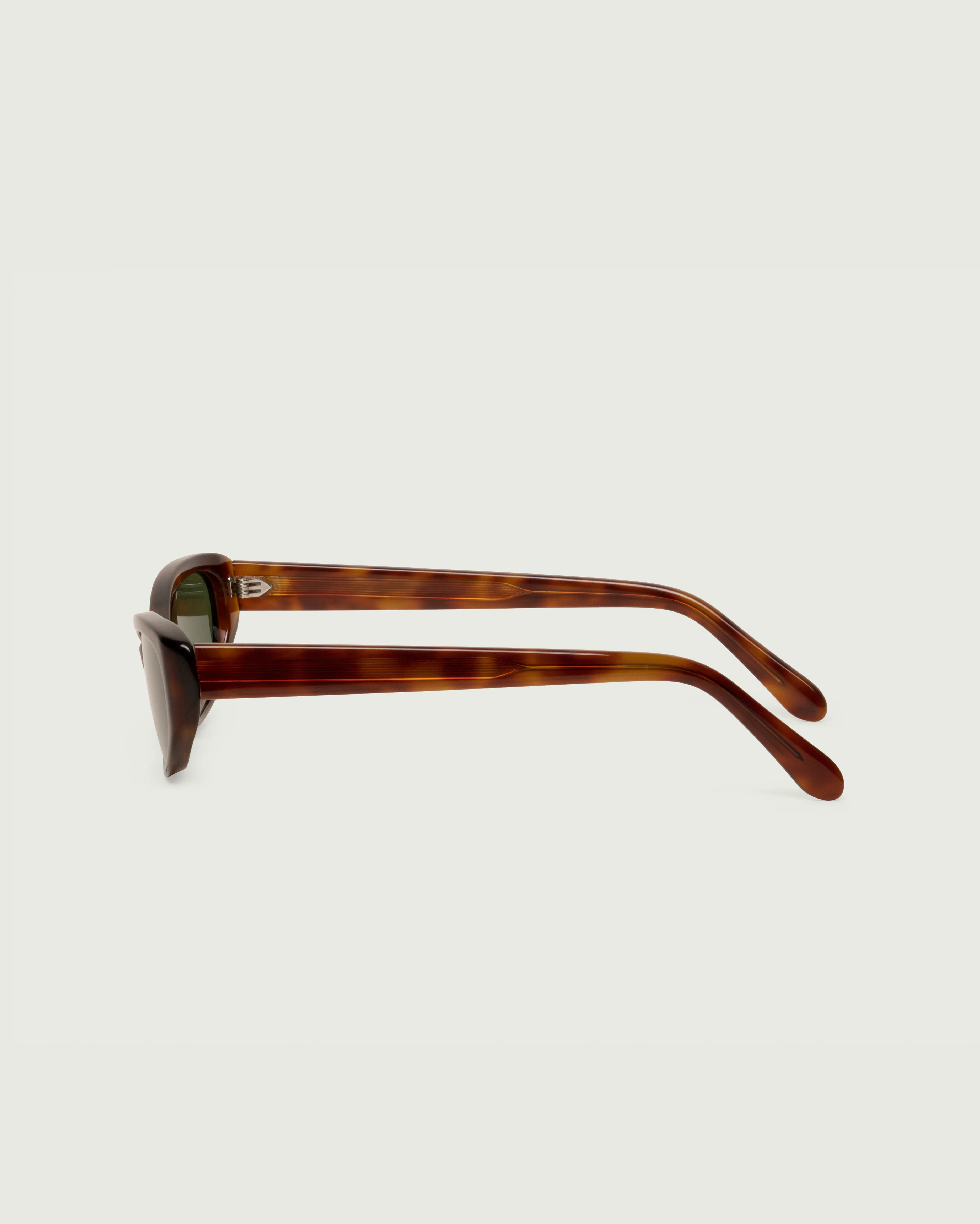 Dane - Image 15
