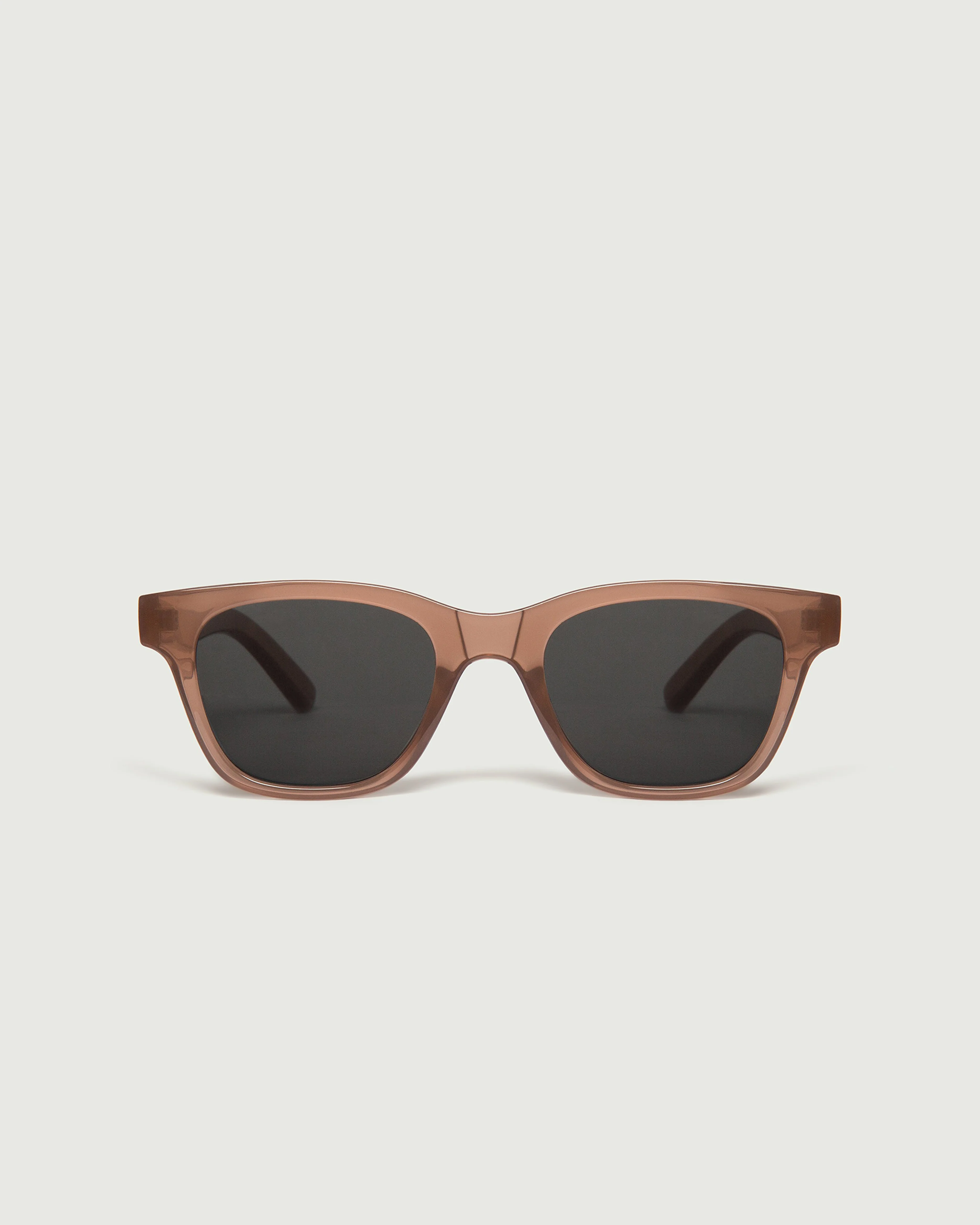 Theo - Image 5