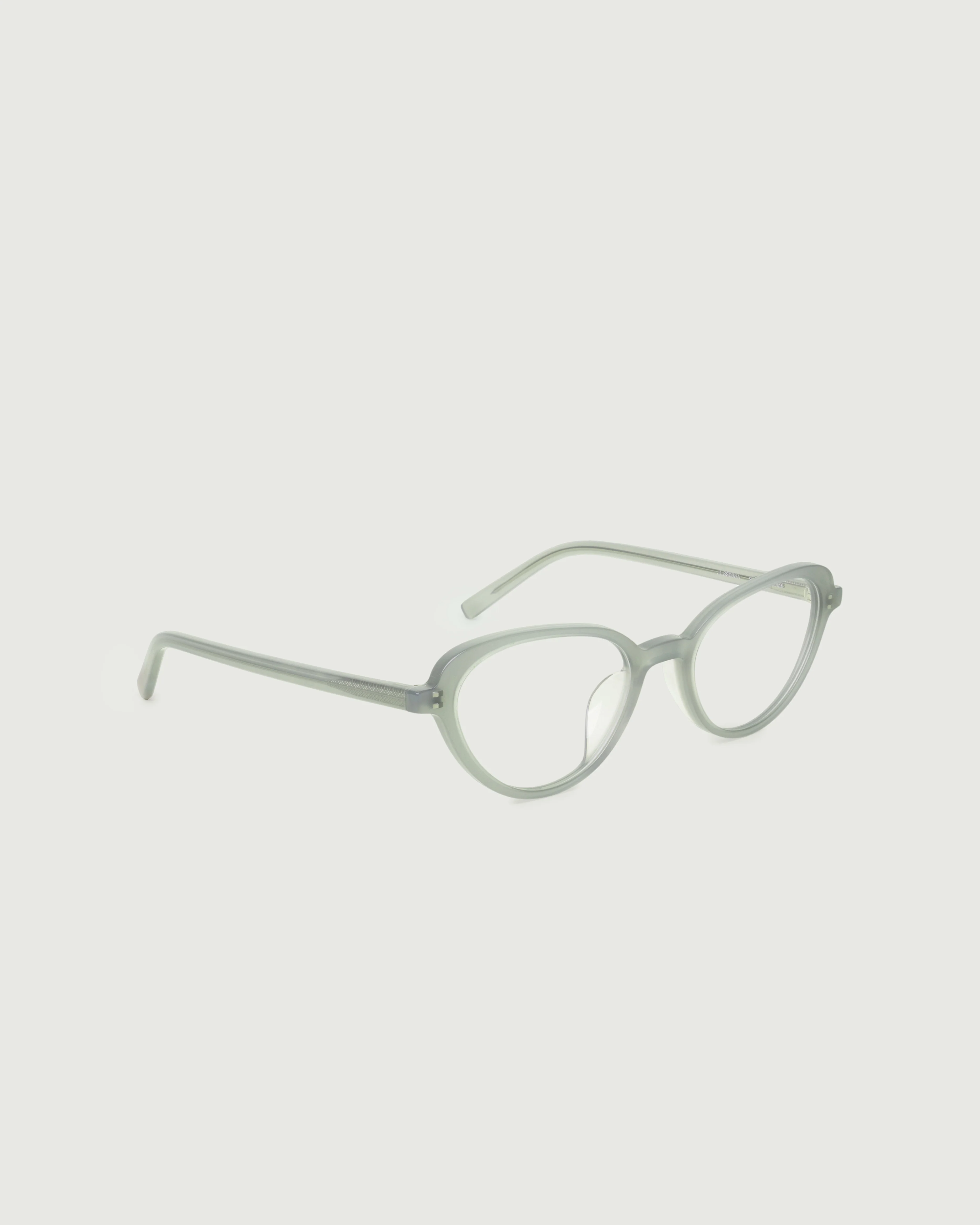 Tippy - Image 10