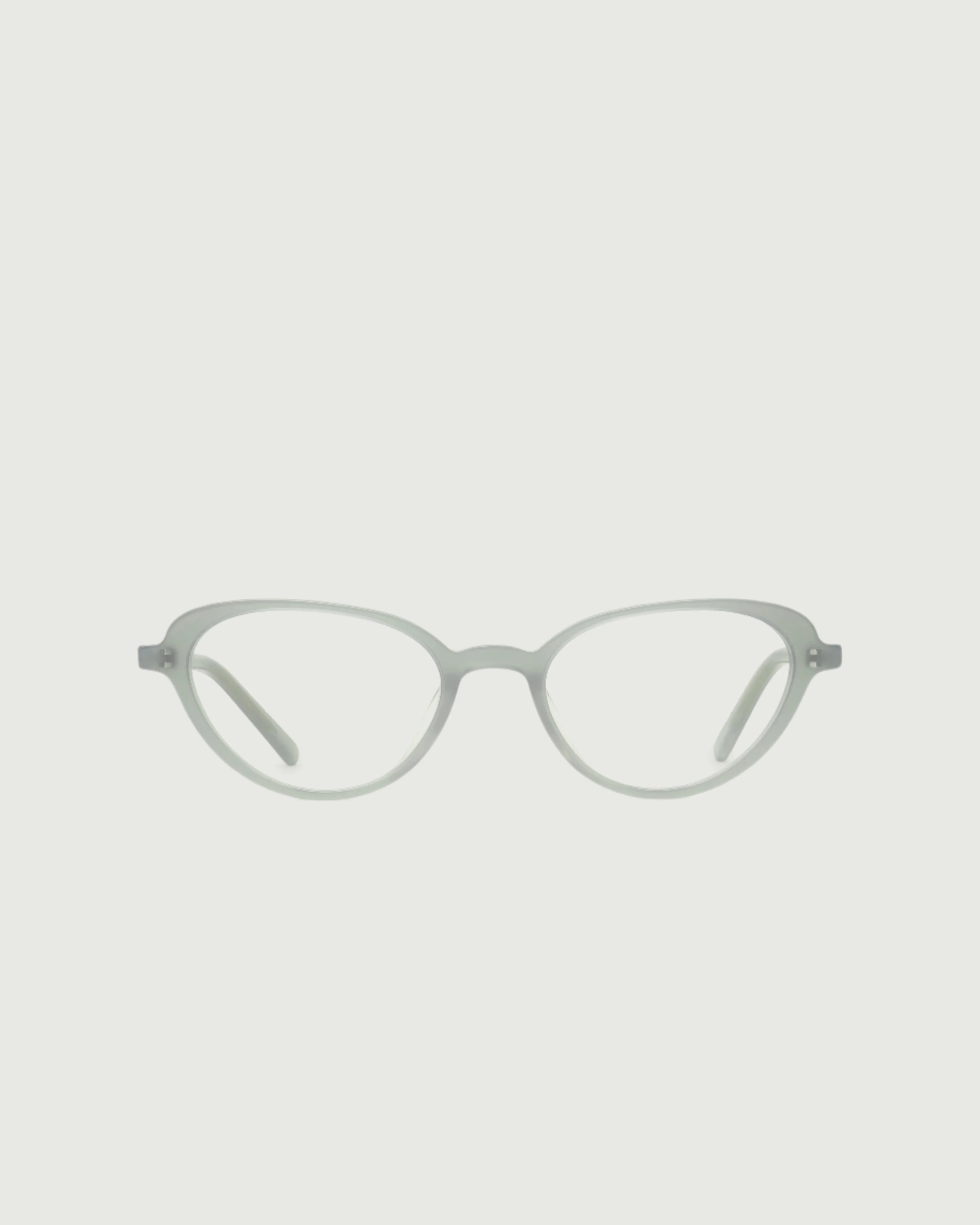 Tippy - Image 9
